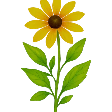 Black-Eyed Susan