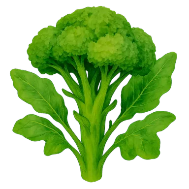 Brassica (general)