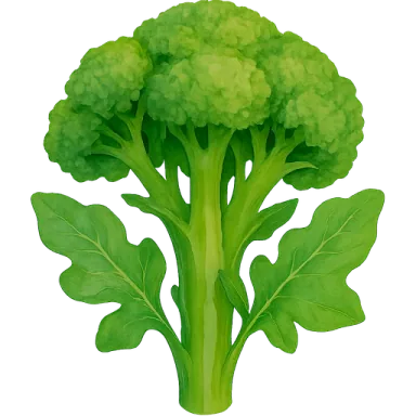 Broccoli