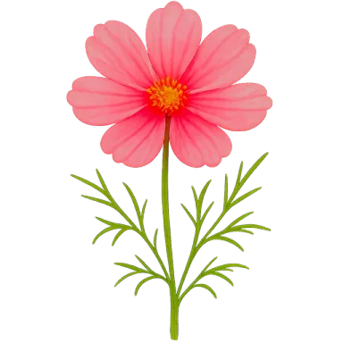 Cosmos