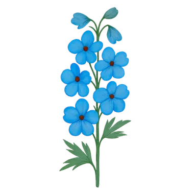 Delphinium