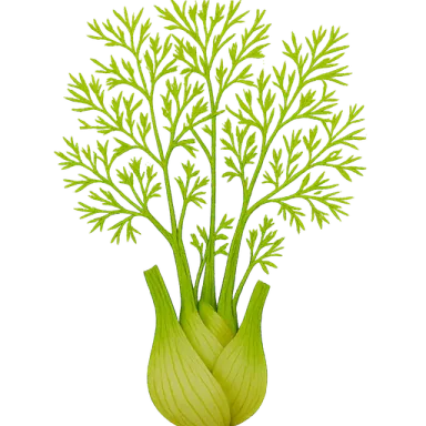 Florence Fennel
