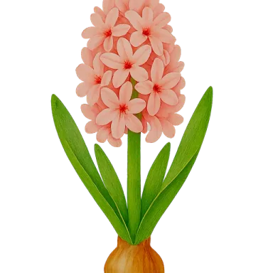 Hyacinth