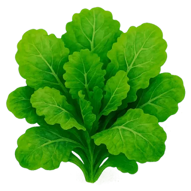 Kale