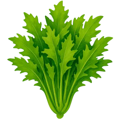 Mizuna