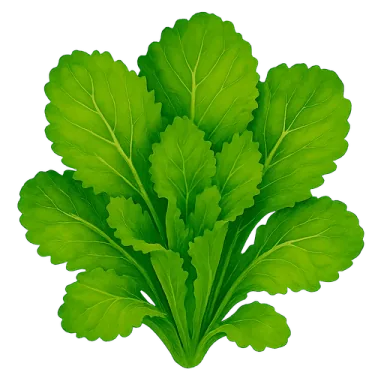 Mustard Greens