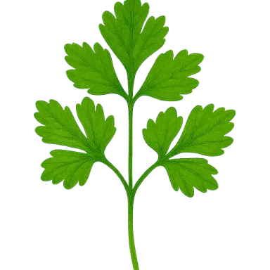 Parsley