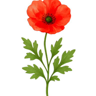 Poppy