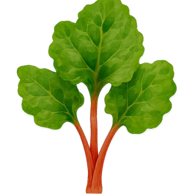 Rhubarb