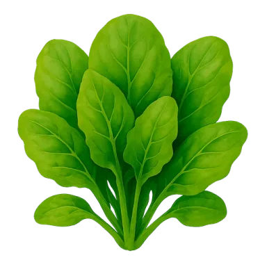 Spinach