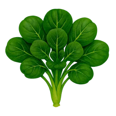 Tatsoi